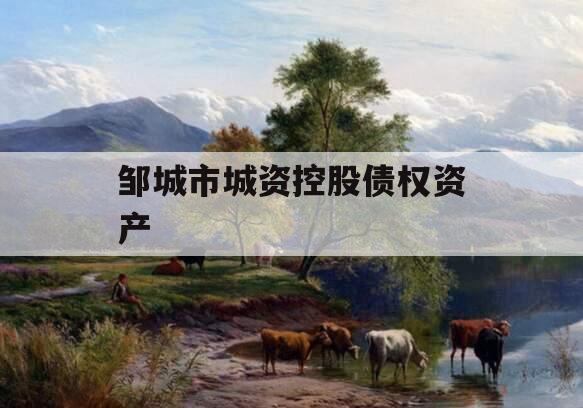 邹城市城资控股债权资产