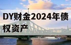 DY财金2024年债权资产