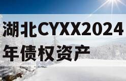 湖北CYXX2024年债权资产