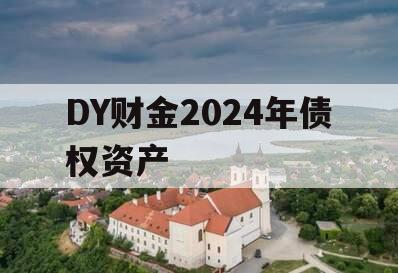 DY财金2024年债权资产