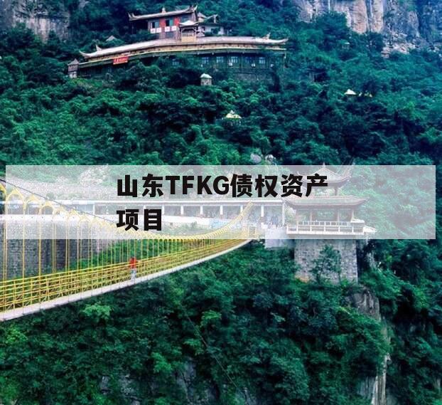 山东TFKG债权资产项目