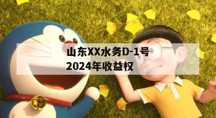 山东XX水务D-1号2024年收益权