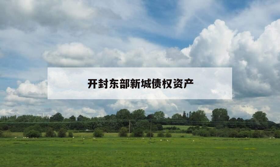 开封东部新城债权资产