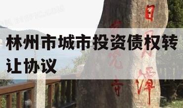 林州市城市投资债权转让协议