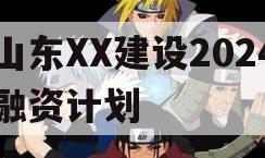 山东XX建设2024融资计划