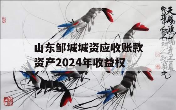 山东邹城城资应收账款资产2024年收益权