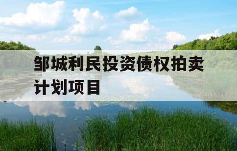 邹城利民投资债权拍卖计划项目