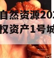 南海自然资源2024年债权资产1号城投债定融