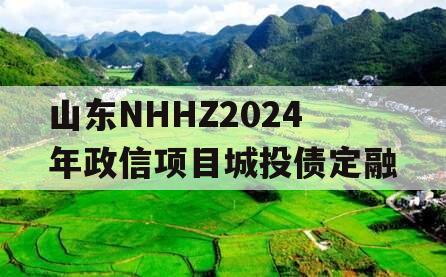 山东NHHZ2024年政信项目城投债定融