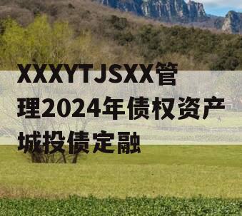 XXXYTJSXX管理2024年债权资产城投债定融