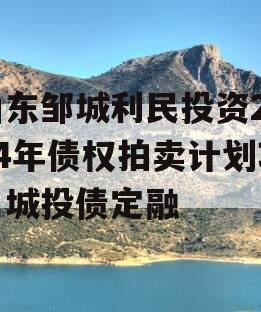 山东邹城利民投资2024年债权拍卖计划项目城投债定融