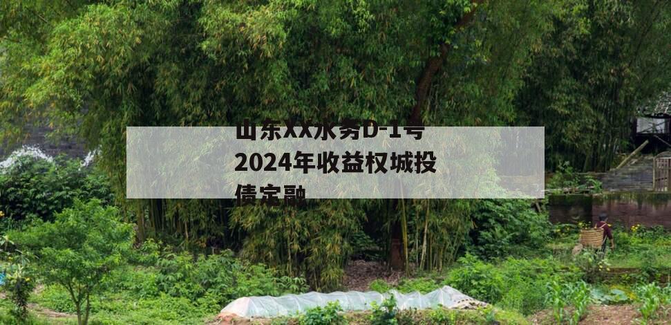 山东XX水务D-1号2024年收益权城投债定融