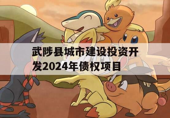 武陟县城市建设投资开发2024年债权项目