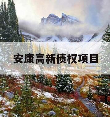 安康高新债权项目