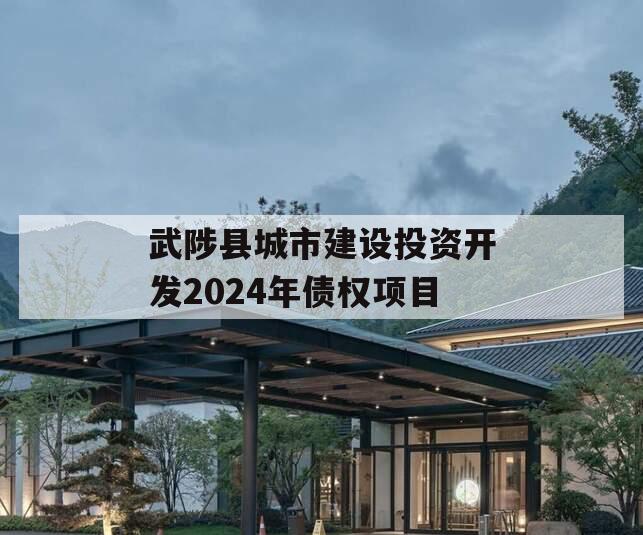 武陟县城市建设投资开发2024年债权项目