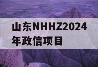 山东NHHZ2024年政信项目