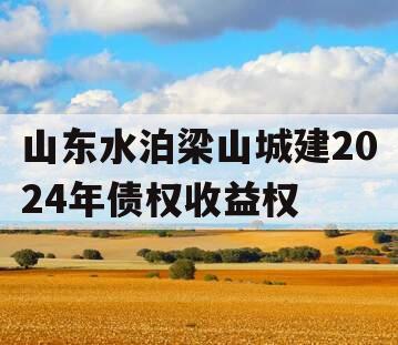 山东水泊梁山城建2024年债权收益权