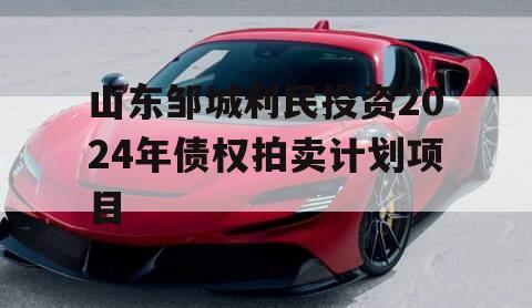 山东邹城利民投资2024年债权拍卖计划项目