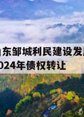 山东邹城利民建设发展2024年债权转让