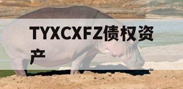 TYXCXFZ债权资产