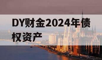 DY财金2024年债权资产