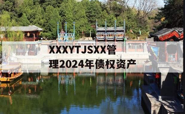 XXXYTJSXX管理2024年债权资产