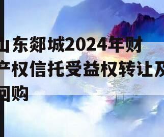 山东郯城2024年财产权信托受益权转让及回购