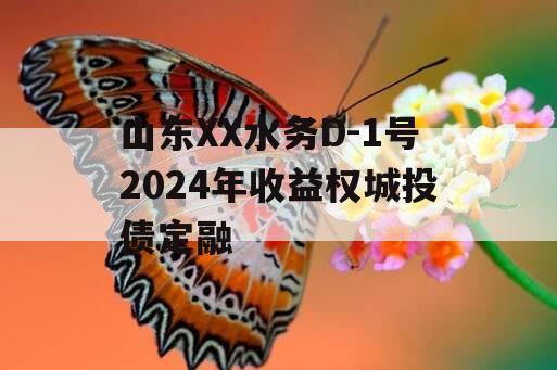 山东XX水务D-1号2024年收益权城投债定融