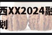 山西XX2024融资计划