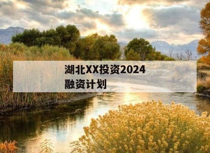湖北XX投资2024融资计划