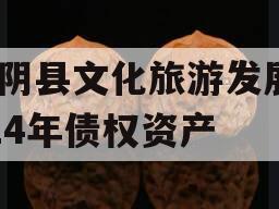 汤阴县文化旅游发展2024年债权资产