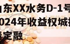 山东XX水务D-1号2024年收益权城投债定融