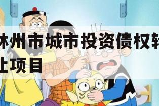 林州市城市投资债权转让项目