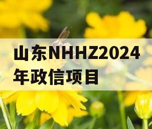 山东NHHZ2024年政信项目