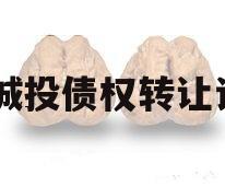 XX城投债权转让计划