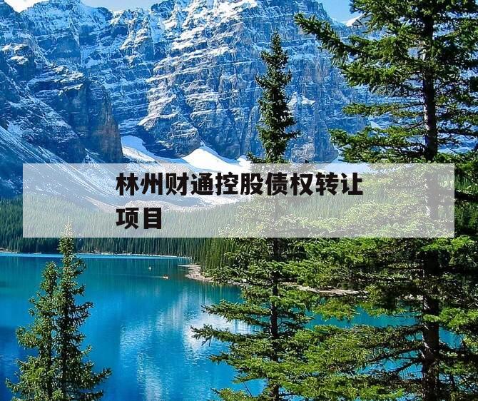 林州财通控股债权转让项目