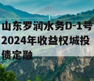 山东罗润水务D-1号2024年收益权城投债定融