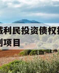邹城利民投资债权拍卖计划项目