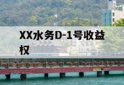XX水务D-1号收益权