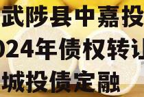 河南武陟县中嘉投资运营2024年债权转让项目城投债定融