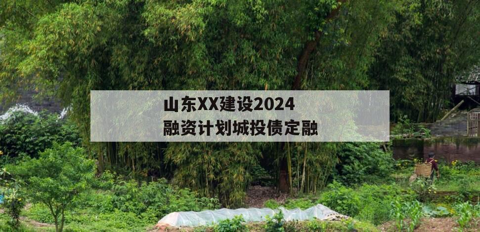 山东XX建设2024融资计划城投债定融