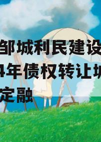山东邹城利民建设发展2024年债权转让城投债定融