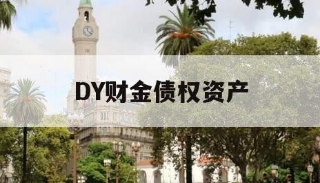 DY财金债权资产