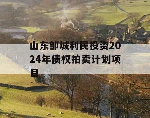 山东邹城利民投资2024年债权拍卖计划项目