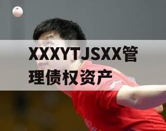 XXXYTJSXX管理债权资产