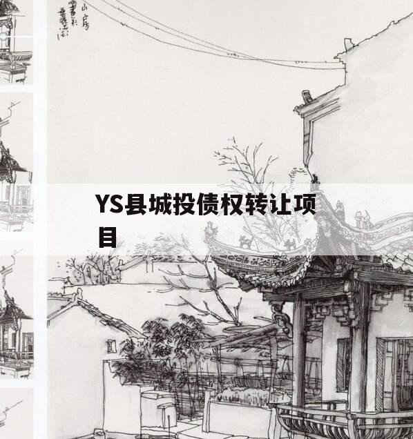 YS县城投债权转让项目