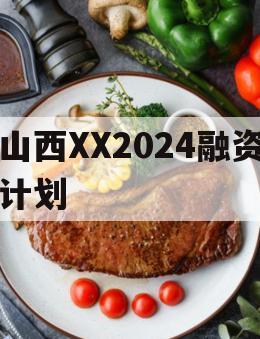 山西XX2024融资计划