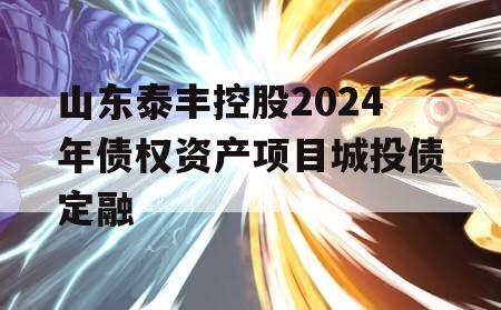 山东泰丰控股2024年债权资产项目城投债定融