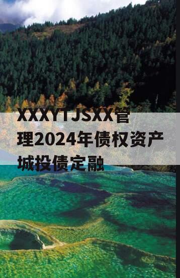 XXXYTJSXX管理2024年债权资产城投债定融