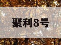 聚利8号